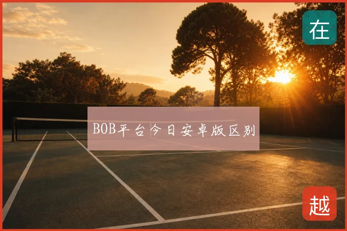 BOB平台今日安卓版区别